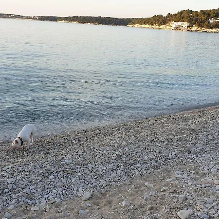 Near Sea, * Pula
